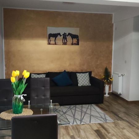 Apartament Apartament Lenus'K Bukareszt Zewnętrze zdjęcie