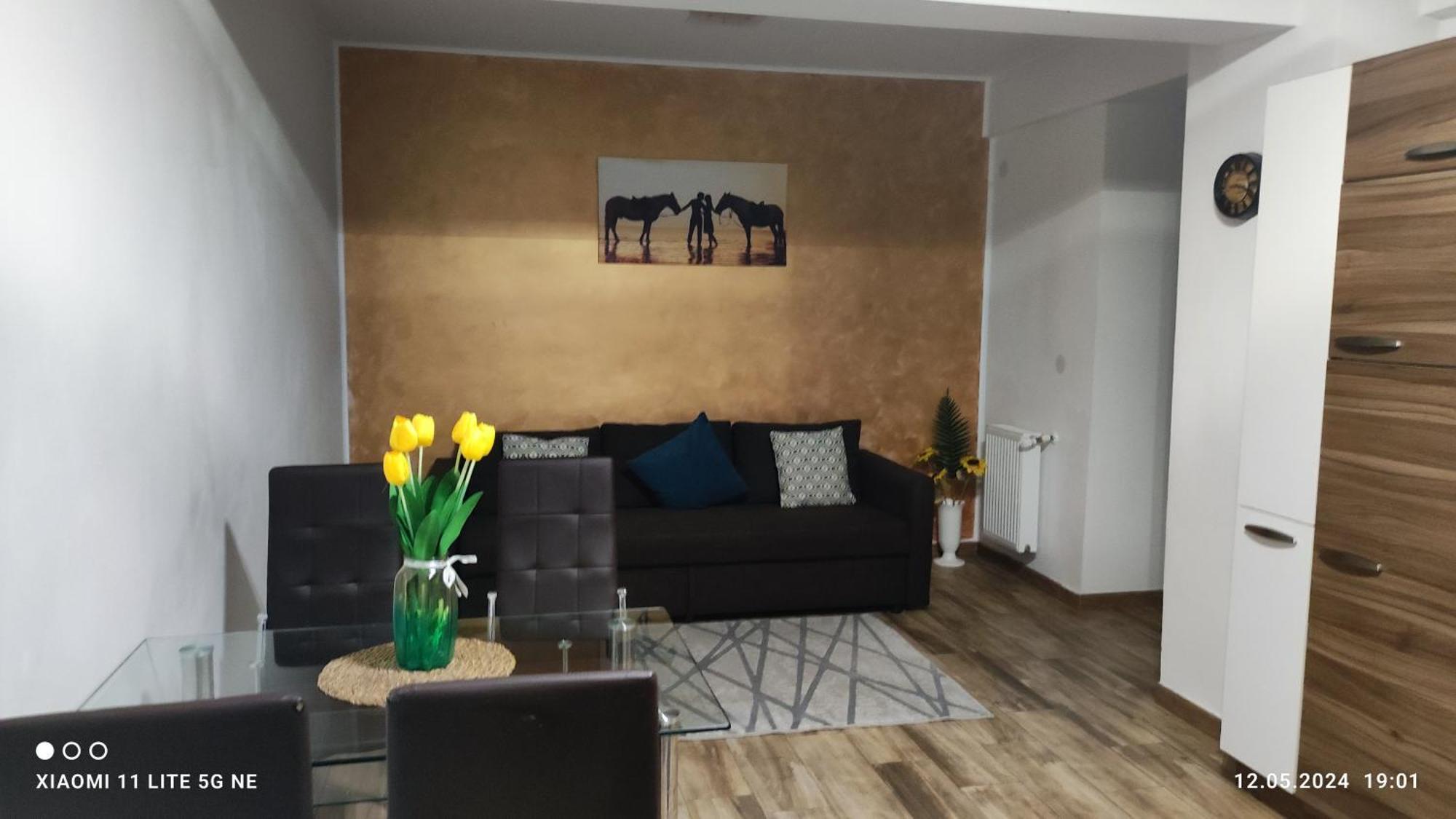 Apartament Apartament Lenus'K Bukareszt Zewnętrze zdjęcie